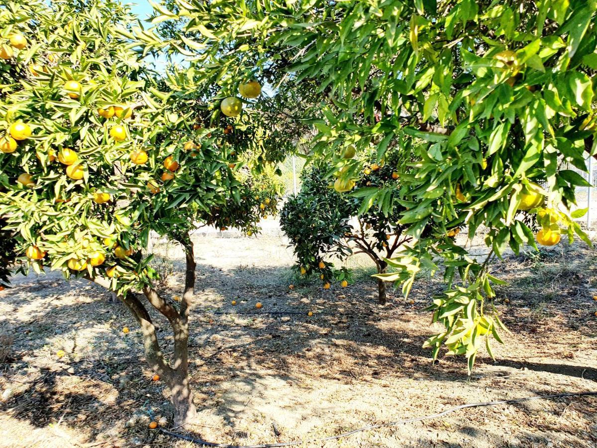 Casa Rural - Serrano House Holiday home Malaga